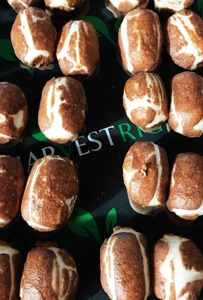 Chocolate Nougat Chews Vanilla Minis