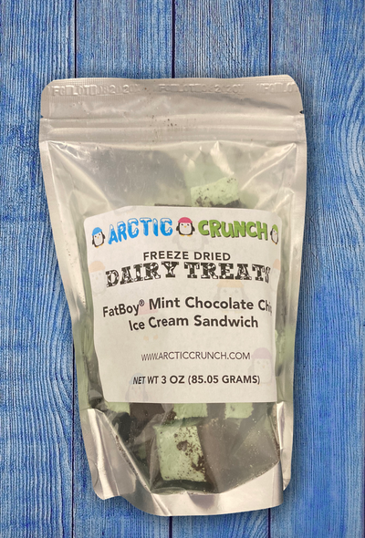 Mint Chocolate Chip Ice Cream Sandwich