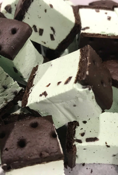 Mint Chocolate Chip Ice Cream Sandwich